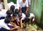 Celebration on World Environment day by RSTC learners, Goalpara